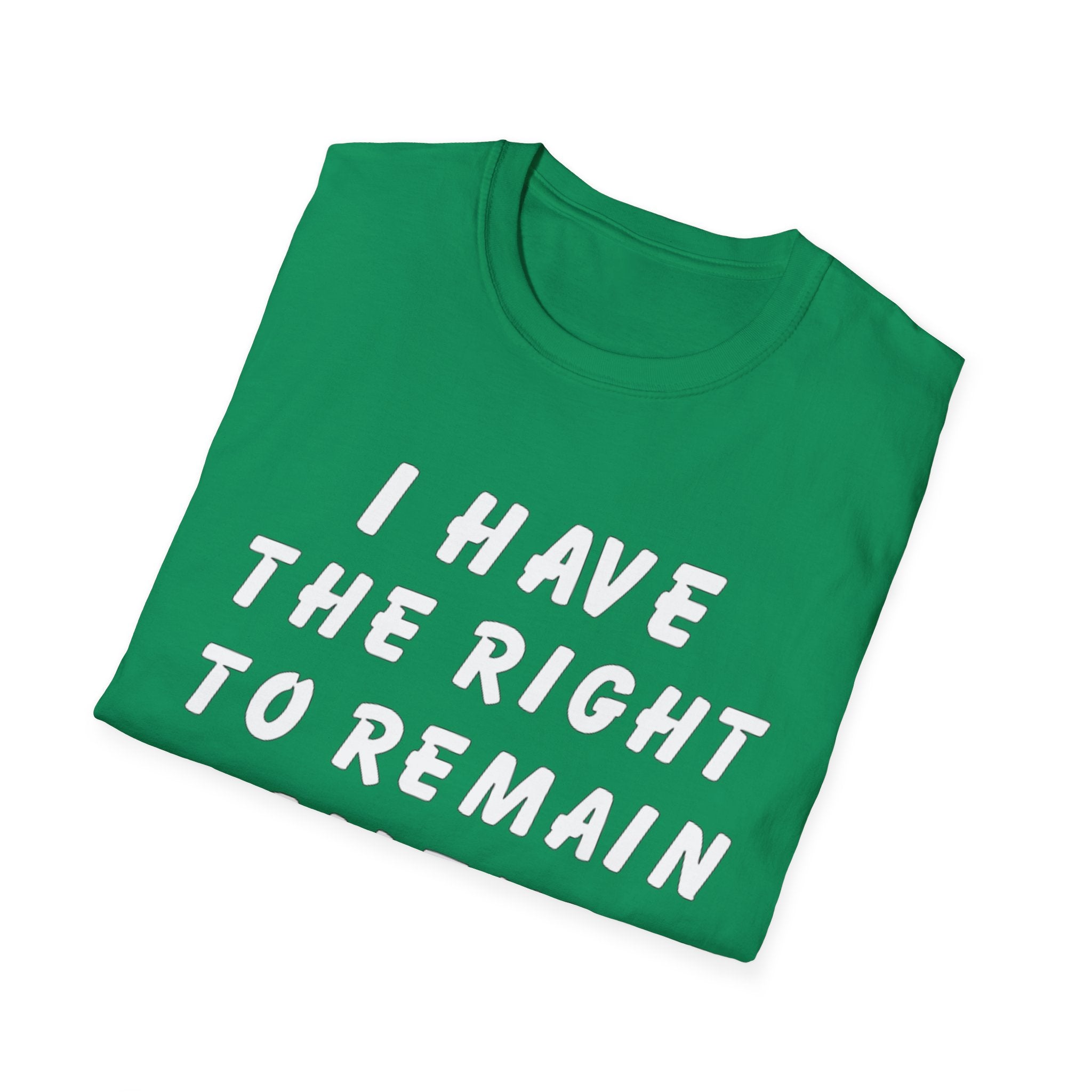 I Have The Right to Remain Silent T-Shirt, Humorous Tee, Statement Shirt, Gift for Friends, Unisex Casual Wear, Quirky Graphic Tee